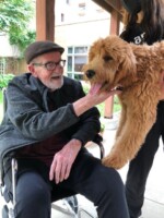 Fr. Senan with a furry friend